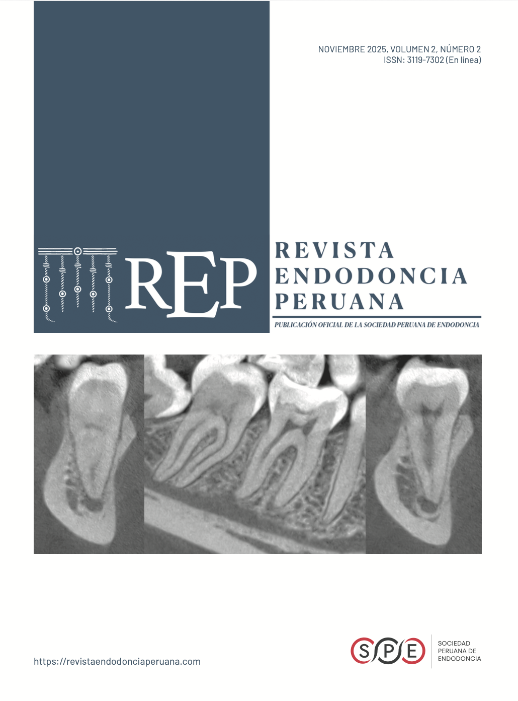 					Ver Vol. 2 Núm. 2 (2025): Julio - Diciembre
				